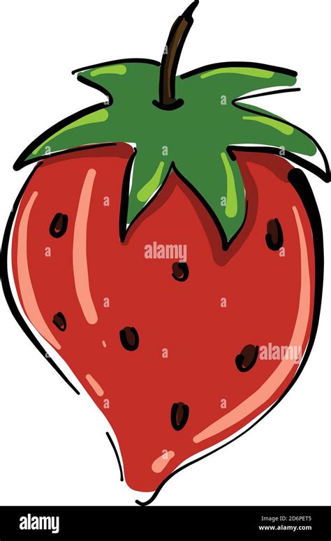 Pretty Strawberry Illustration Vector On White Background Stock