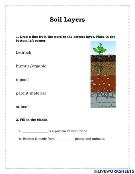 Reading Pictures Soil Layers Multiplication Facts Top Soil Bedrock