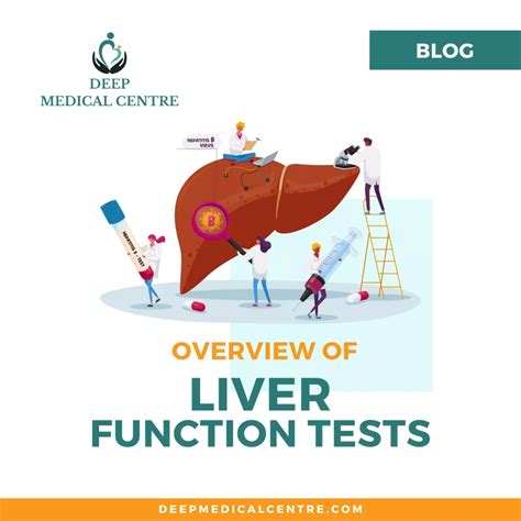 Liver Function Tests An Overview Deep Medical Centre