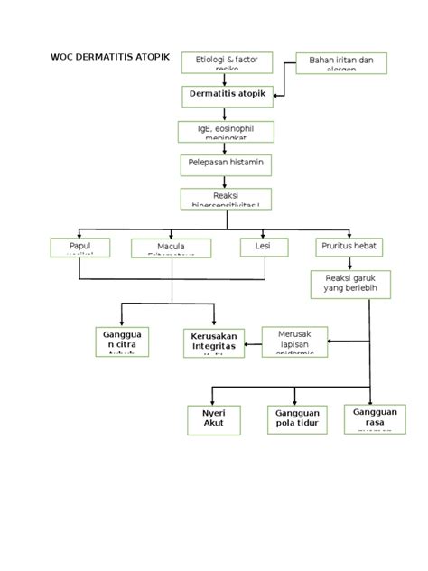 Woc Dermatitis Atopik