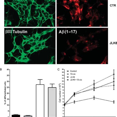 Neuroblastoma Cell Proliferation And Differentiation Analysis After