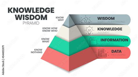 Vecteur Stock Knowledge Wisdom Hierarchy Infographic Template With Icon