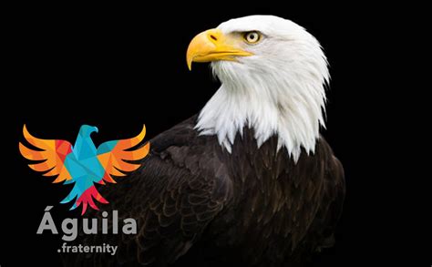 Fraternidad del Aguila Fundación Sonría