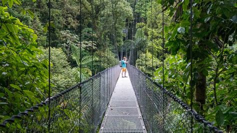 Hanging Bridges In Costa Rica Special Places Of Costa Rica