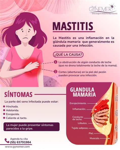 Mastitis Proceso De Embarazo Higiene Intima Femenina Salud Mamaria