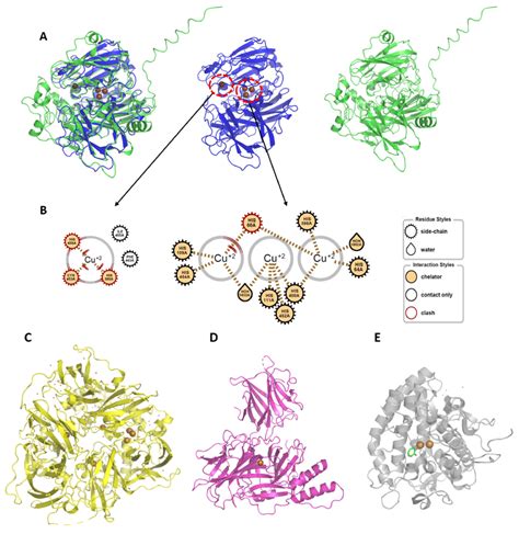 Ijms Free Full Text New Inhibitors Of Laccase And Tyrosinase By