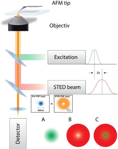 Figure 1 From Combining AFM With Super Resolution STED Stimulated