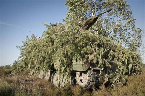 Как камуфляж скрывает солдат и технику от врага (84 фото)
