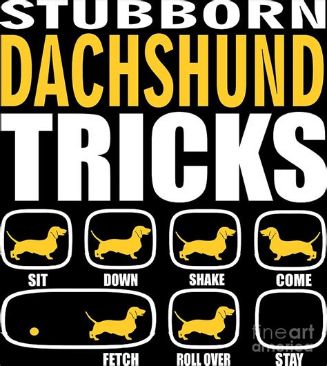 Stubborn Dachshund Tricks Funny T Digital Art By Dusan Vrdelja