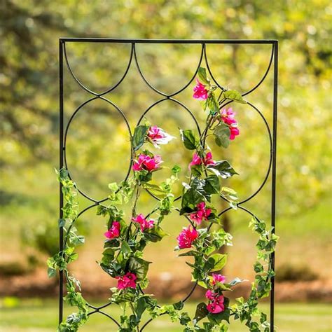 Decorative Metal Garden Wall Trellis Shelly Lighting