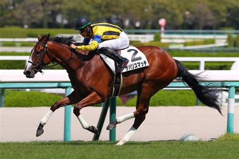 【新馬阪神5r】サトノダイヤモンド産駒 ザパリスマッチがデビューv 競馬ニュースなら競馬のおはなし