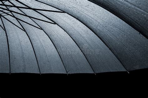 Guarda Chuva Molhado Preto Imagem De Stock Imagem De Barulho