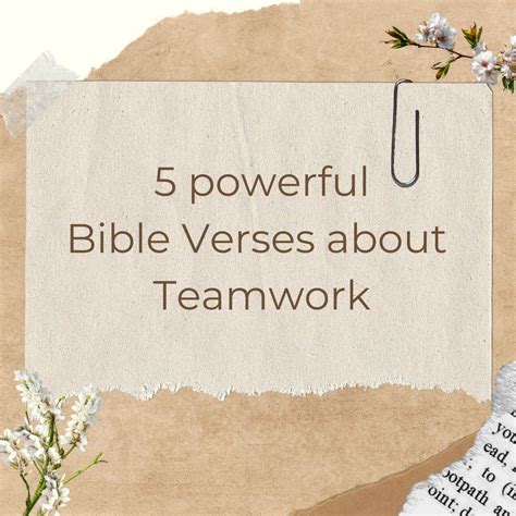 5 powerful Bible Verses about Teamwork