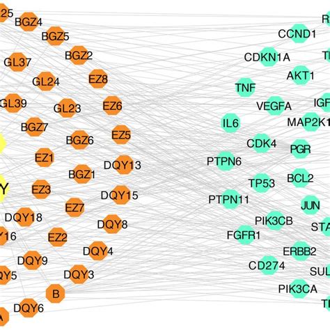 Herb Compound Target Disease Network The Pink Triangle Represents The