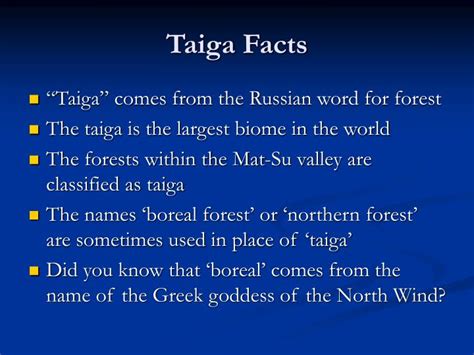 PPT - TAIGA The Boreal Forest PowerPoint Presentation - ID:5533053