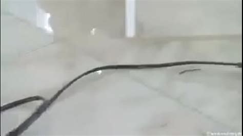 Huge Tits Tied Up Search XVIDEOS