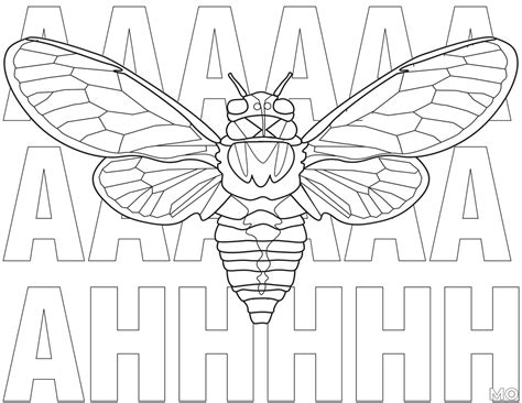 Cicada Coloring Pages Etsy