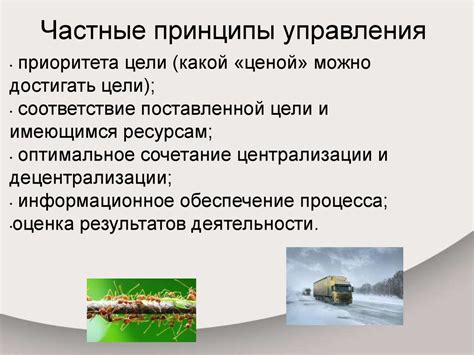 Управление и кибернетика - презентация онлайн