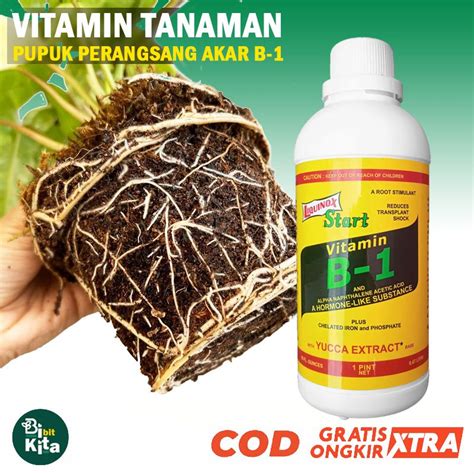 Jual Vitamin B Liquinox Pupuk Nutrisi Tanaman Penyubur Akar Subur Anti