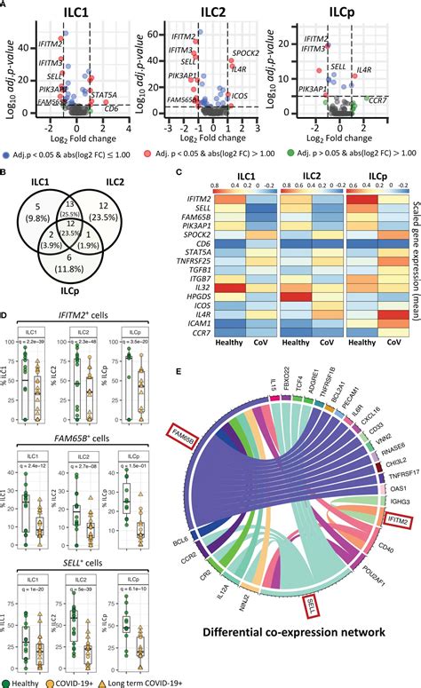 Frontiers Single Cell Multi Omic Analysis Identifies Key Genes