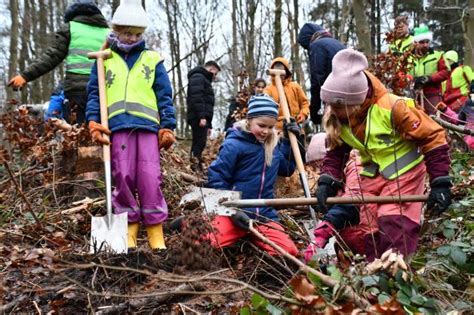 Mit Waldwuchs Pflanzen Kinder B Ume In Flensburg Shz