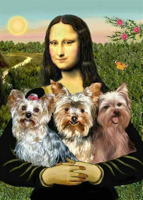 Pin On Yorkies Yorkshire Terrier Mona Lisa Yorkie