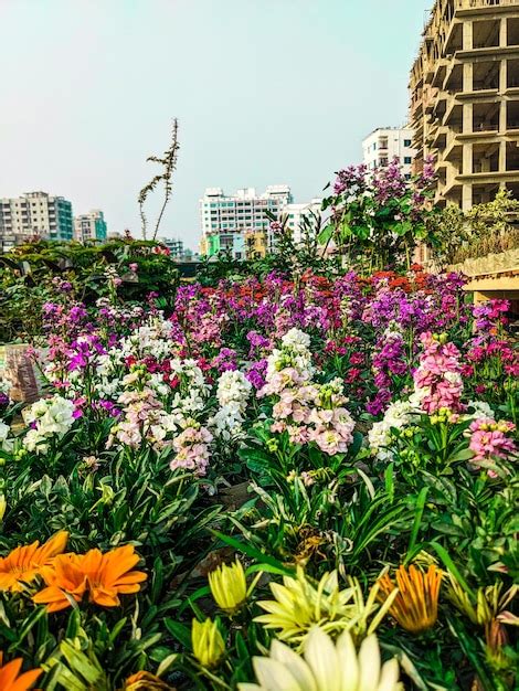 Un jardín lleno de flores y un edificio al fondo Foto Premium