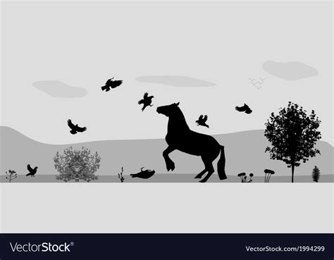 Fight Horses And Birds In Nature Royalty Free Vector Image