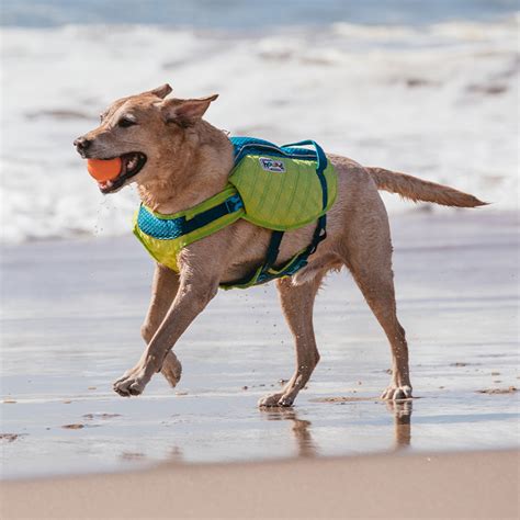 Outward Hound Home - Shop dog toys, chew toys, dog gear - outwardhound.com