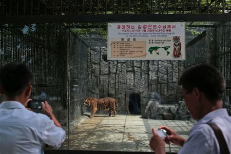 Take a look inside North Korea’s zoo | CNN