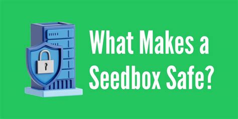 What Makes A Seedbox Safe RapidSeedbox