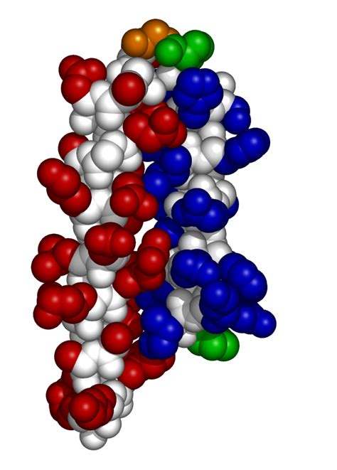 Tertiary Structure And Protein Stability Bioc2580 Introduction To