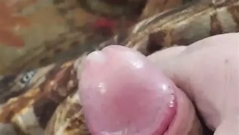 Hot Ass Cum Blast Free Gay Ass Hd Porn Video Ad Xhamster Xhamster