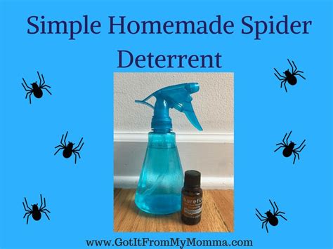 Simple Homemade Spider Deterrent Homemade Spider Spray Homemade