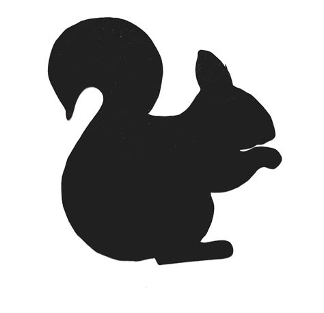 Set of 25 Squirrel Die Cuts Squirrel Cut Outs Squirrel Paper - Etsy