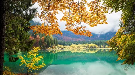 Pourquoi La Nature Nous Fait Du Bien