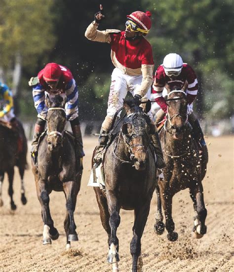 The Pinhook Horses - Pinhook Kentucky Straight Bourbon and Whiskey