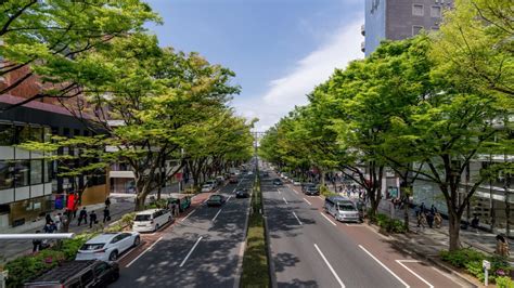 Unveiling Omotesando Your Ultimate Travel Guide To Tokyo S Stylish