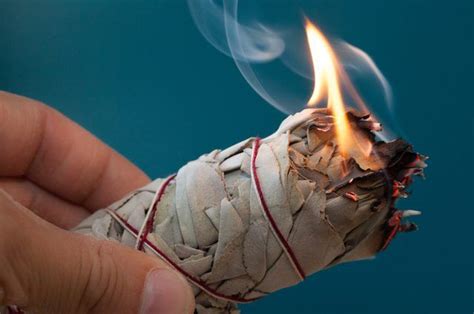 What Are The Benefits Of Burning Sage Artofit