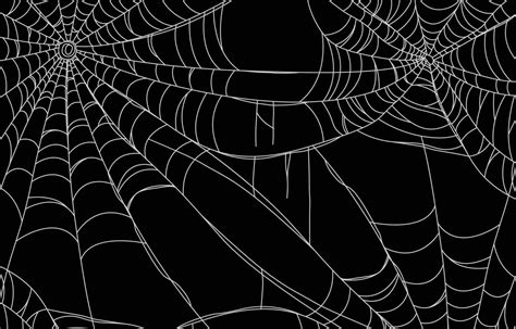 Spider Web Background 3107462 Vector Art at Vecteezy