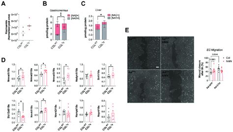 Beneficial Effects Seen In Cystathionine G Lyase Cgl Overexpressing