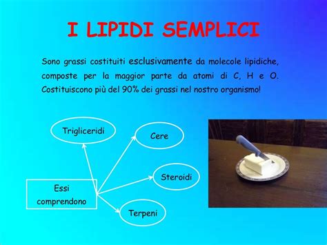 2 Lipidi E Grassi Da Condimento