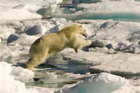 El Cambio Climático Está Ralentizando La Rotación De La Tierra Con Consecuencias De Gran