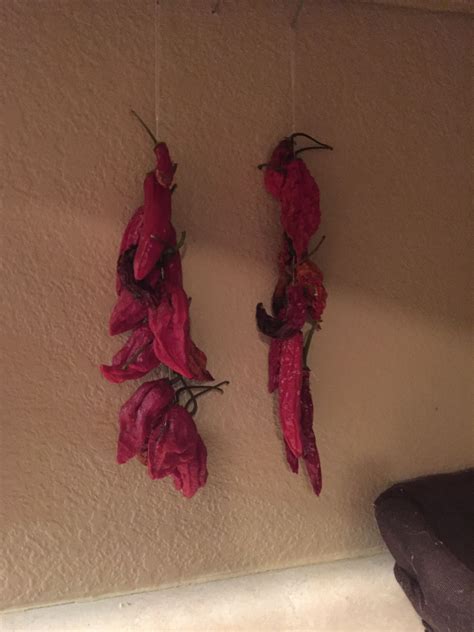 Ghostserrano Peppers Drying In The Kitchen Just Thread A Needle