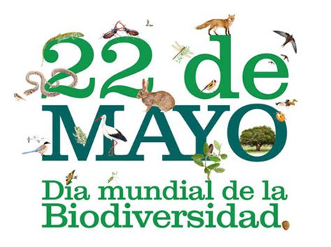 Imágenes y frases para el 22 de Mayo Día de la Biodiversidad o