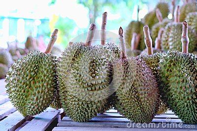 A Stack Of Durian Monthong Durian Is King Of Fruit Is Famous Asian