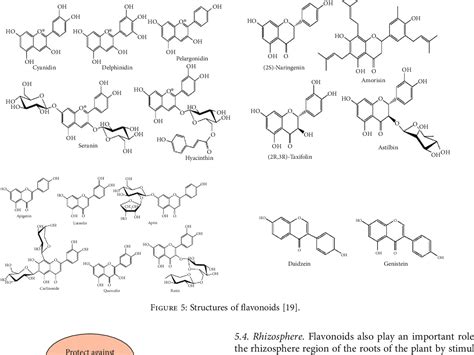 Figure 1 From Flavonoids A Bioactive Compound From Medicinal Plants And