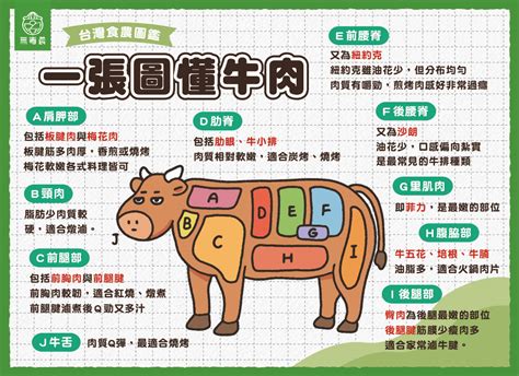 板腱？沙朗？菲力？一張圖看懂牛肉部位！｜無毒農