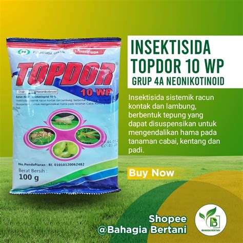 Jual Insektisida Topdor Wp Pembasmi Hama Pada Tanaman Cabai