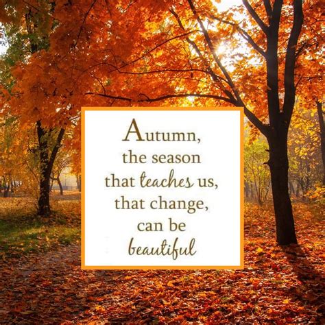 Autumn The Season That Teaches Us That Change Can Be Beautiful